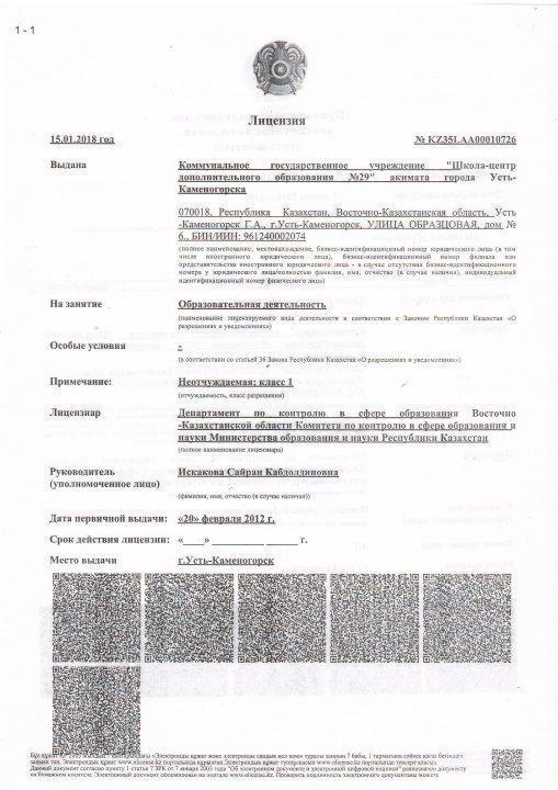 Паспорт школы